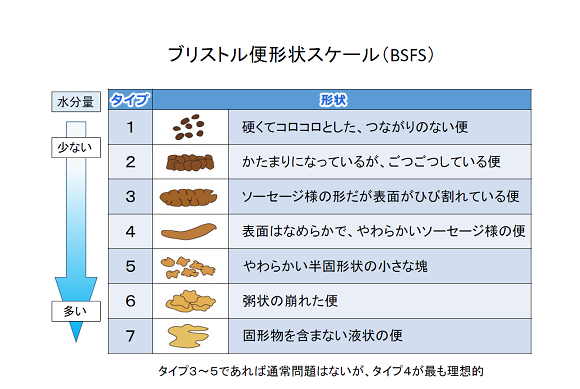 ブリストル便形状スケール