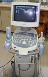肛門超音波検査：出産に伴う、肛門括約筋損傷の鑑別目的　写真