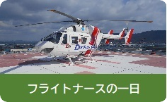 フライトナース