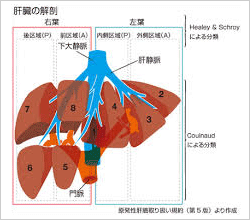 当院における治療　肝癌　図1