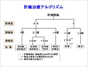 当院における治療　肝癌　図2