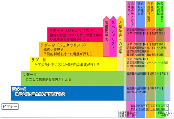 キャリアラダー段階図