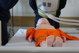 小児の脳死下臓器提供シミュレーションを実施しました。(平成28年11月26日)　写真2