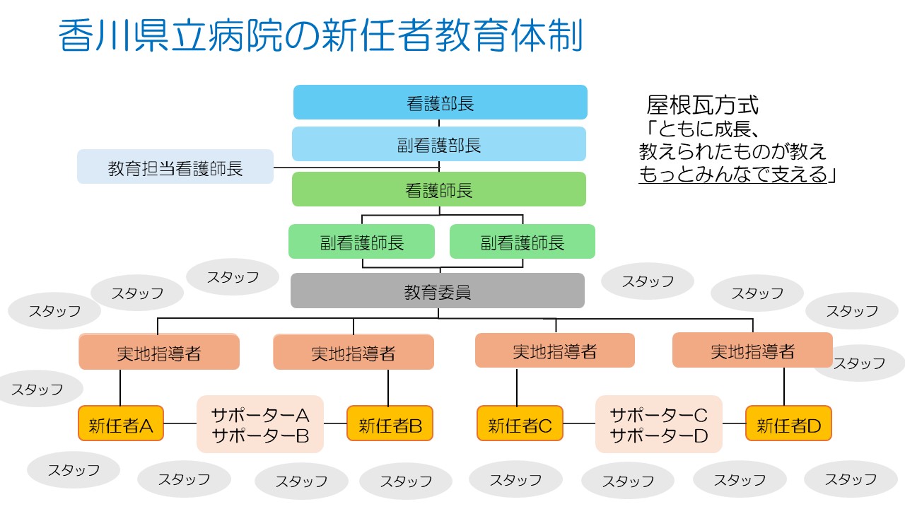 新任看護師教育体制　画像